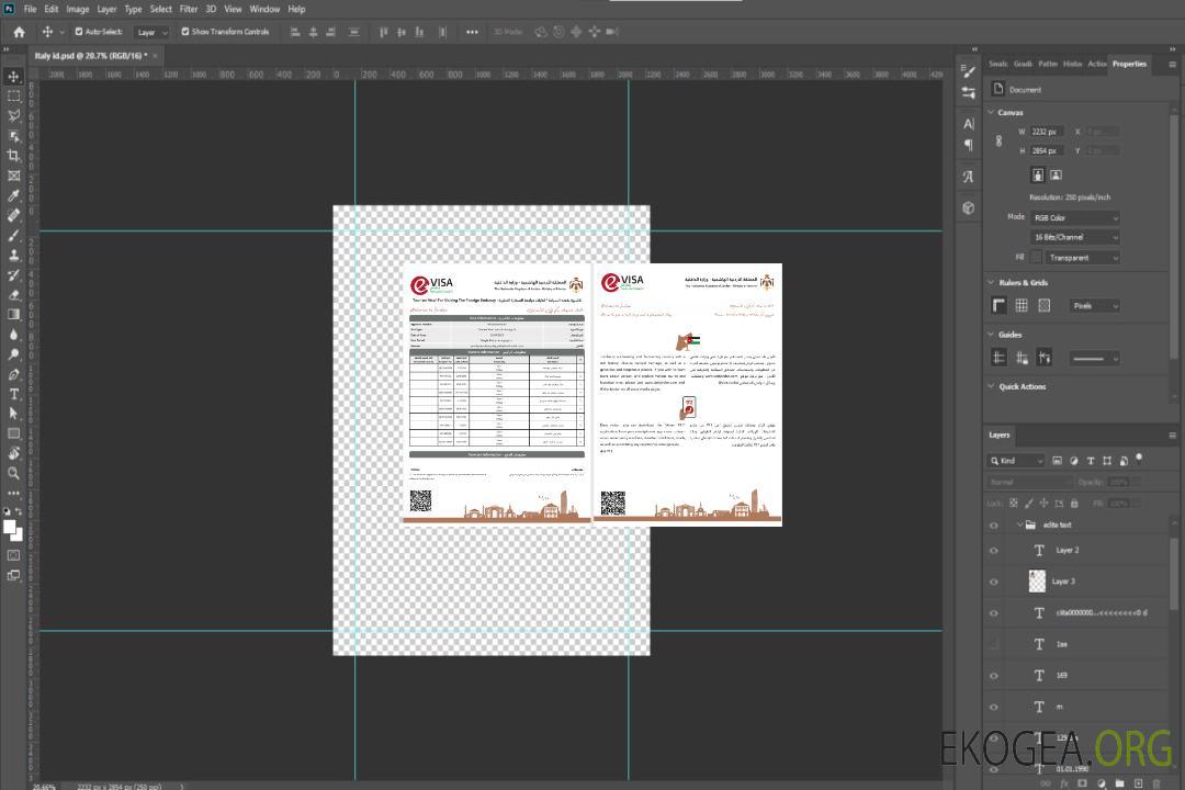 Visa électronique pour la Jordanie version 2 template Visa électronique pour la Jordanie version 2 template